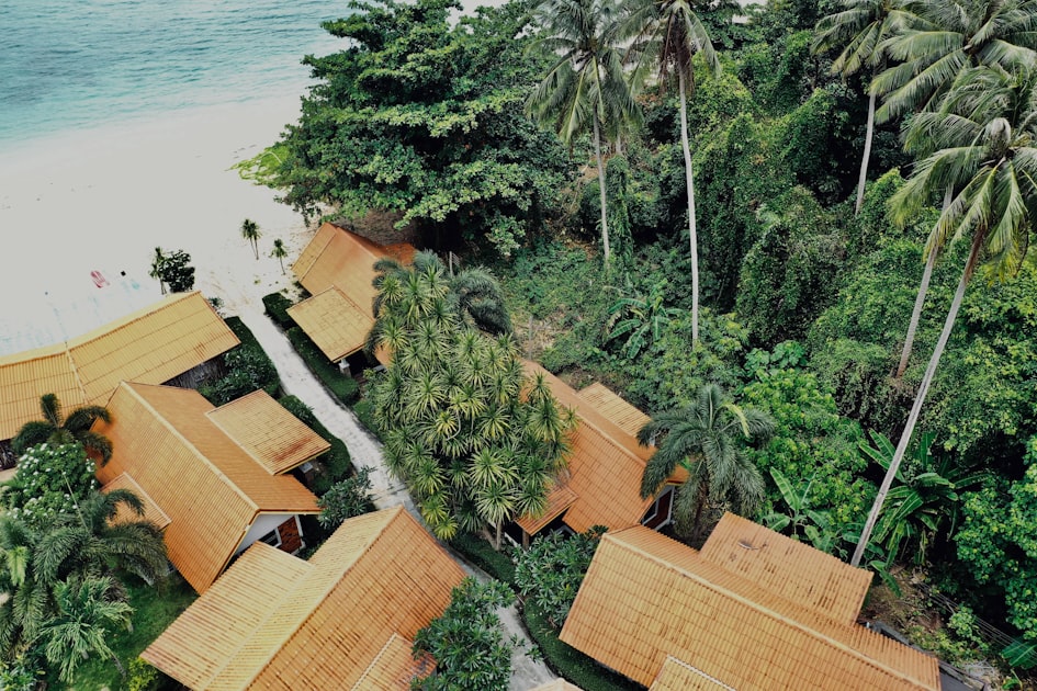 Exploring Kerala's Homestays Ext 1